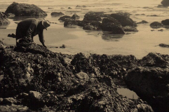 History of Koi Community | Koi Nation | Sonoma, California